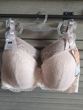Rene Rofe Lace Lightly Padded Bra in Blush